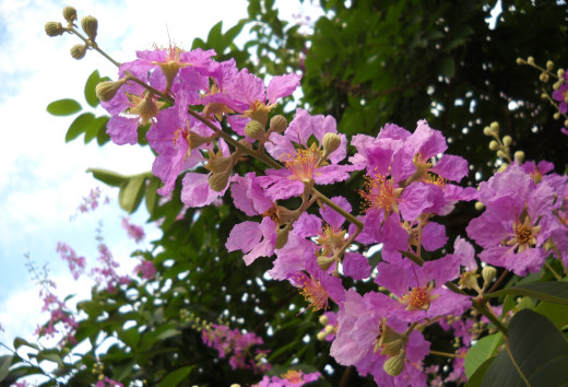 739653 (a): :2500x1701